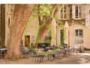 Vente locaux professionnels à Mouans-Sartoux (06370)  495 000 €