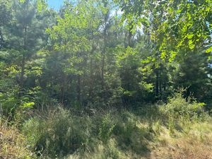 Terrain à vendre de 44600 00 m² RION DES LANDES (40)