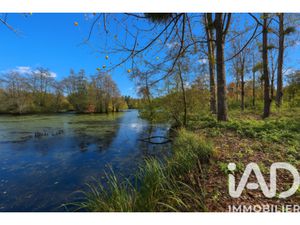 Vente Terrain Loisirs 7 365 m²