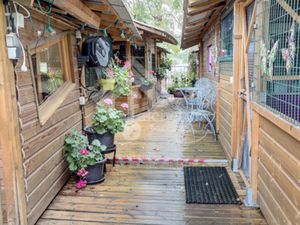 Ensemble Immobilier activité pension canine et féline