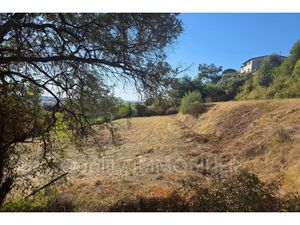 Annonce terrain à vendre