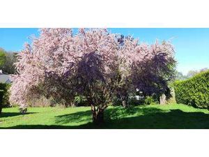 Vente Terrain à Chantepie (35135) : à vendre / Chantepie