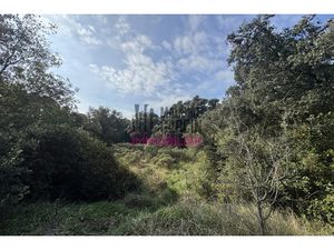 Annonce terrain à vendre