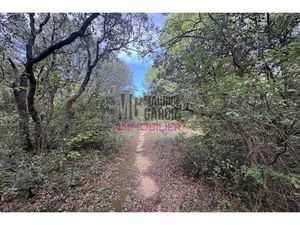 Annonce terrain à vendre