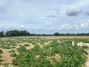 Vente terrain 356 m² à Saint-Jean-de-Liversay (17170)  60 600 €