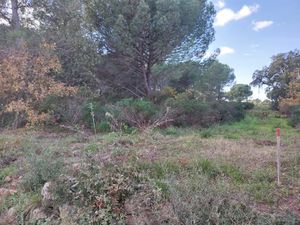 Vente terrain 610 m² à Puget-sur-Argens (83480)  275 000 €