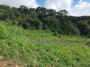 Terrain à vendre SAINT CLAUDE (971) 49000 euros  Guadeloupe