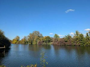 SAFTI RENIER Marie conseiller indépendant