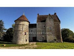 Palais de 203 m² en vente Neuillay-les-Bois  France