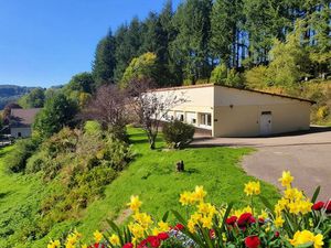 PROPRIETE vendre 20 pièces proche de REMIREMONT (88) sur 2 4 ha avec ETANG  SOURCE