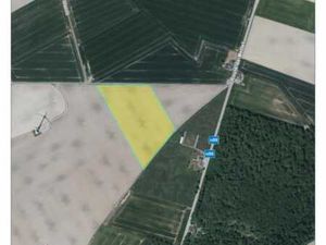 Terrain agricole à vendre libre d'occupation