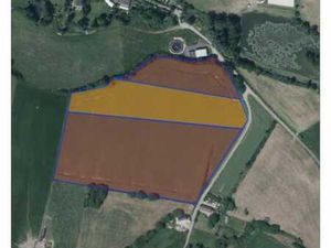 Terrain agricole libre d'occupation