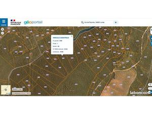 Terrain non constructible/Bois de chauffage