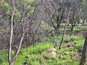 Vente terrain 2150 m² à La Môle (83310)  400 000 €