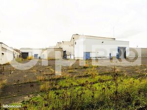 Local d'activité 1 000 m²