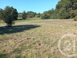 Terrain à vendre - 1424 m2 - Graulhet - 81 - MIDI-PYRENEES