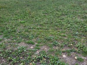 Recherche terrain Agricole/ Loisir