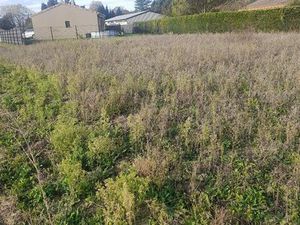 2 terrains - Parcelles Viabilisées et constructibles