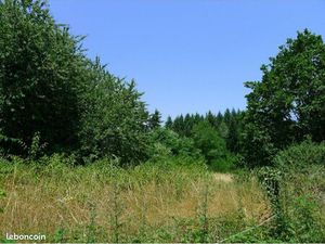 Terrains à bâtir Les Martys (11390) Montagne Noir