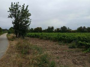 Terre agricole - 3 parcelles 2ha50