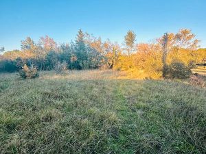 Terrain agricole cuers