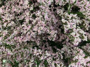 Boutique place Ollier