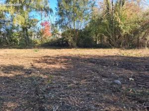 Terrain constructible