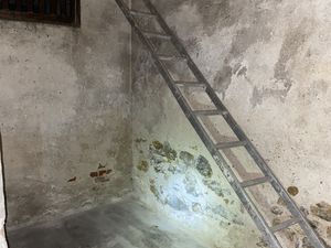 À louer Cave no3 saine en sous-sol 46 Rue Picot  Toulon