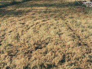 Agréable coup de pêche au bord de l’Indre - à 2 min du cœur historique de Cormery