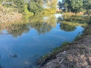 Etang sur 15000m2 de terrain clos premihat