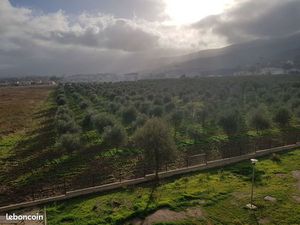 Appartement 3 piéces 80 M² lucciana