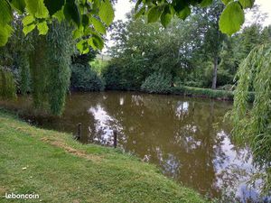 Petit étang et terrain arboré à Parçay sur Vienne
