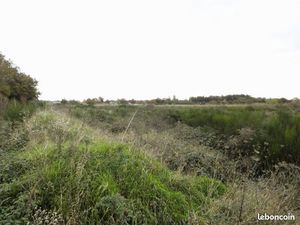 Terrain 20600 m² Neuvy-en-Sullias