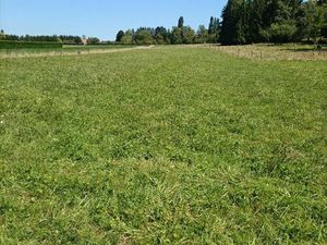 Terrain 3826 m² HOLVING