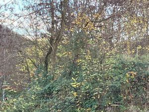 Terrain 950m2. Nilvange