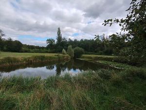 Étang  taillis  prairie