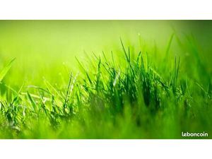 Terrain 1 000 m² Amboise