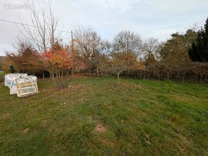 Terrain de loisirs 1623 m² – Puits  abri  arbres fruitiers – Moulins-lès-Metz