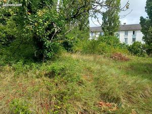 Terrain 1241 m² Bourgueil