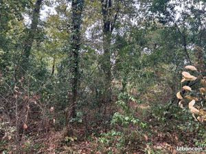 Terrain 1 700 m² Paillet