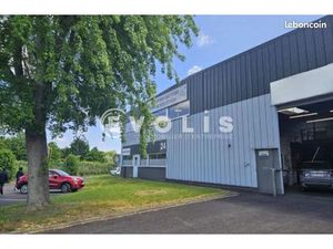 Local d'activité 499 m²