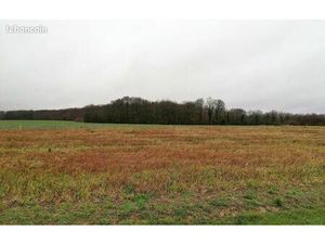 Terrain 1 299 m² La Selle Sur Le Bied