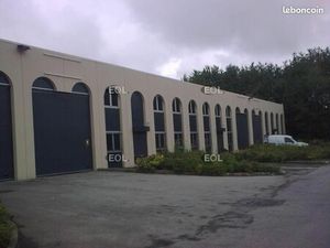 Local bureaux 1 160 m²