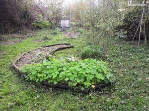 Terrain pour potager et verger