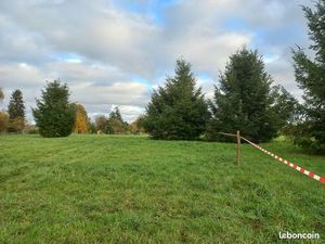 Terrain constructible