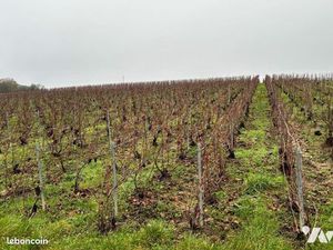 Terrain 1113 m² VANDIERES