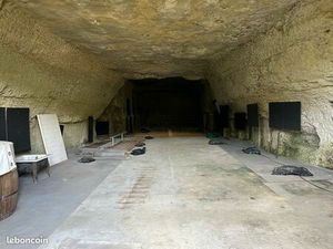 RARE - Local commercial Troglodyte à louer