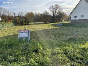 Terrain 1368 m² Plaine-de-Walsch