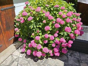 Vente maison plain pied T5