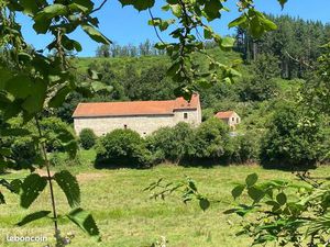 Domaine authentique avec son élevage de chevaux biologique et centre d'équithérapie